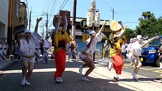 いなせ連 Japanese traditional dance 'AWA-ODORI' 一番通り春まつり　