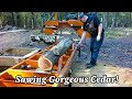 Sawing Gorgeous Cedar with the Wood-Mizer LT15 Sawmill!