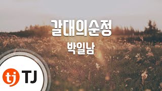 [TJ노래방] 갈대의순정 - 박일남(Park, Il - Nam) / TJ Karaoke