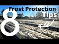 8 Ways To Protect Plants From Frost