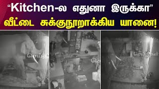 Elephant Video Viral | “ரொம்ப பசிக்குது.. Kitchen-ல எதுனா இருக்கா” - யானையின் அட்டகாசம்! | CCTV