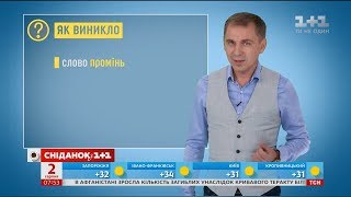 Як виникло слово промінь – експрес-урок української мови