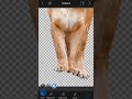 Create transparent cut out and change background using LightX Photo Editor for iPhone