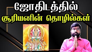 ஜோதிடத்தில் சூரியனின் தொழில்கள் | காரகத்துவம் | ஜோதிடர் விஷால் விவர்தன்