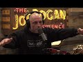 coyotes tricked joe s dog joe rogan u0026 dan flores jre 1975