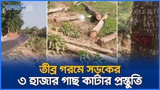 কুষ্টিয়ায় ফের সড়কের ৩ হাজার গাছ কাটার প্রস্তুতি