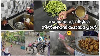 നാത്തൂന്റെ വീട്ടിൽ നിൽക്കാൻ പോയപ്പോൾ /Evening vlog/@RizuJinshadvlog