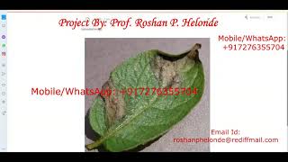 Potato Leaf Disease Detection Using CNN Convolutional Neural Network | Python Source Code Projects
