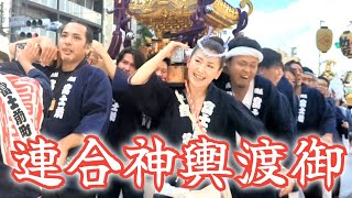 2023 駒込天祖神社 連合神輿渡御 #神輿 #東京都文京区