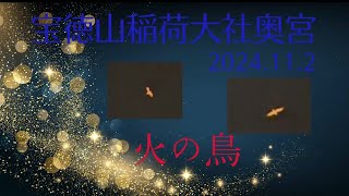 宝徳山稲荷大社神幸祭2024火の鳥🐦‍🔥🦋超超超貴重🌈🌈✨🐦‍🔥今年は私達の周りを5分間何度も旋回✨✨✨＃火の鳥＃宝徳山稲荷大社＃神幸祭