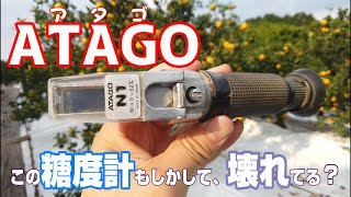 【10月上旬】アタゴのアナログ糖度計で測ってみたら・・・／2021年・極早生みかん・上野