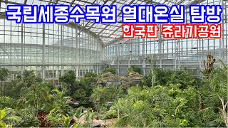 국립세종수목원 열대온실 탐방!! 희귀 관엽식물의 성지!! 랜선 식물투어!!