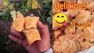 Traditional Jaggery Making | Making of Gur | Village Life in Pakistan 🇵🇰