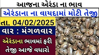 Arenda na bhav  | 04-02-2025 l એરંડા ના આજના ભાવ | Rajkot marketing yard and Patan marketing yard