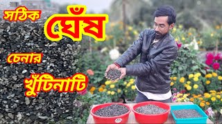 সব ঘেঁষেই কিন্তু গাছ ভাল হবে না, চিনে নিন সঠিক ঘেঁষ  / Special Cinder / Cinder.