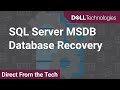 SQL Server MSDB Database Recovery