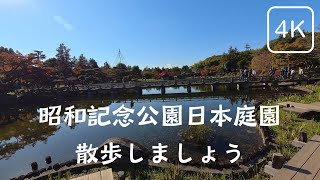 国営昭和記念公園日本庭園を散歩しましょう！