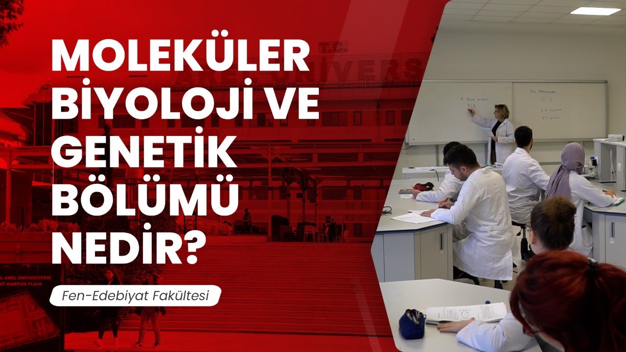 Moleküler Biyoloji Ve Genetik Bölümü Nedir? - YouTube