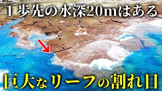 【断崖絶壁】巨大リーフの割れ目にエサを落としてみたら…？【伊平屋遠征2021夏 #2】