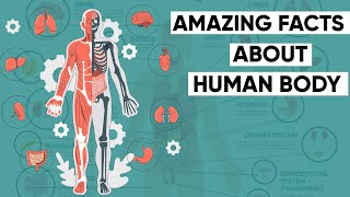 20 Amazing facts about human body- 2 || मानव शरीर के 20 रोचक तथ्य || Humanscience || Science Manic