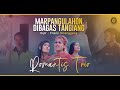 ROMANTIS TRIO - Marpangulahon Dibagas Tangiang (Official Music Video)