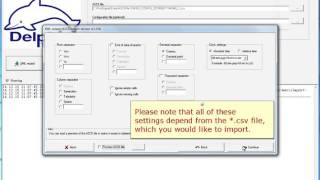 Delphin Technology Tutorial  - ASCII Import Tutorial
