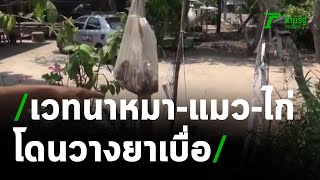 สุดเวทนา! หมา-แมว-ไก่ ตายเกลื่อน โดนวางยาเบื่อ | 24-03-64 | ข่าวเที่ยงไทยรัฐ