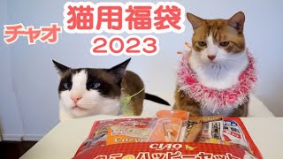 いなば2023年猫用福袋を愛猫に見せたら興奮冷めやらずでした Inaba 2023  lucky bag