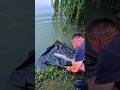 Release of grass carp/Pustanje amura na jezeru Pivnice #fishing #shortvideo #grasscarp #lake #carp