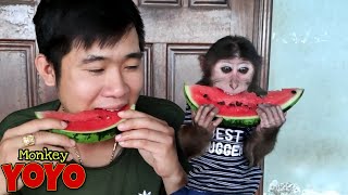YoYo JR is competing to eat watermelon with dad