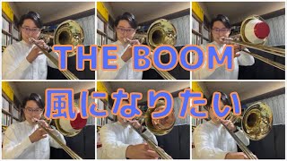 THE BOOM　風になりたい　#Shorts