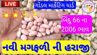 બિંદુ 66 નંબરના ભાવ મગફળી ના બજાર ભાવ Gondal market yard na bhav ગોંડલ માર્કેટિંગ યાર્ડ 18/10/12023