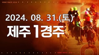 (제주) 2024.08.31 1경주