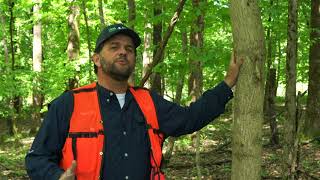 Forestry and Wildlife Opportunities in the USDA Programs