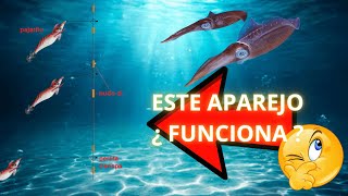 ¿Funcionan los Aparejos de Varios Egi para el Calamar? 🎣🦑