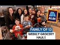 SHOPPING with 10 KIDS! Weekly ALDI Grocery Haul! 🍎🥦🥖 WHAT'S NEW!