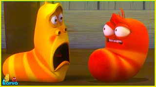 LARVA SEASON 3 EPISODE 100 ~ CARTOON MOVIE TOP 100 EPISODE CARTOON FOR KID 20234