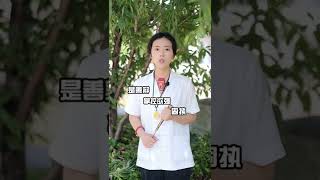 什么样的修行比较快呢？#道士