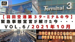 [４Ｋ]【羽田空港第３ターミナル（国際線）の今/VOL.6】HANEDA AIRPORT TERMINAL3 \