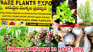 అరుదైన మొక్కలు | Rare Plants | Herbal Plants | Maha bilva | Rudraksha plant | Black Turmeric