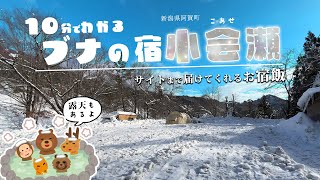 【キャンプ場】温泉あり サウナあり 宿飯あり のおもてなしのお宿 「ブナの宿小会瀬」を１０分でご紹介