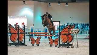 Khalid Al Eid \u0026 Chacco Bay ( Chaccato X Heops ) at Bouthieb CSI2*