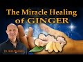 The Miracle Healing of Ginger - Dr Mandell