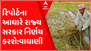 માવઠાના કારણે ખેતીને થયેલા નુકસાનનો સર્વે રિપોર્ટ તૈયાર, જુઓ ગુજરાતી ન્યુઝ