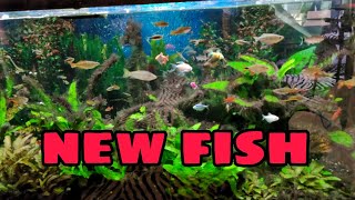 Reaper And Bob Get New Fish Thanks to OFR!