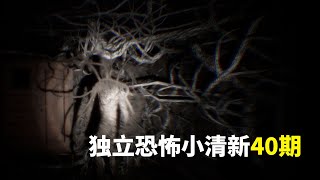 一部怪核手爪饼一部怪异愣头青 | 独恐40期《黑暗之根/根男》