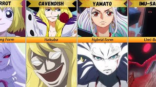 One Piece Characters and their Final Form