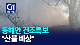 [G1뉴스]동해안 건조특보 \