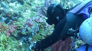 DPV Lionfish Hunting at Playa Casitas (Cozumel)