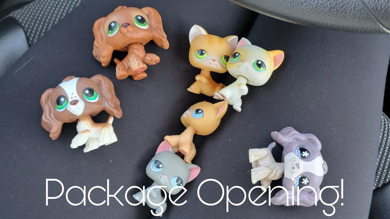 Lps Package Opening Youtube